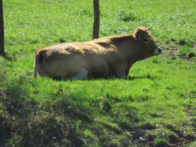 Img 1501