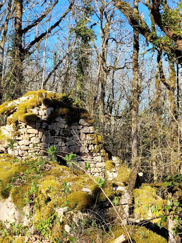 20260315 164233 resized