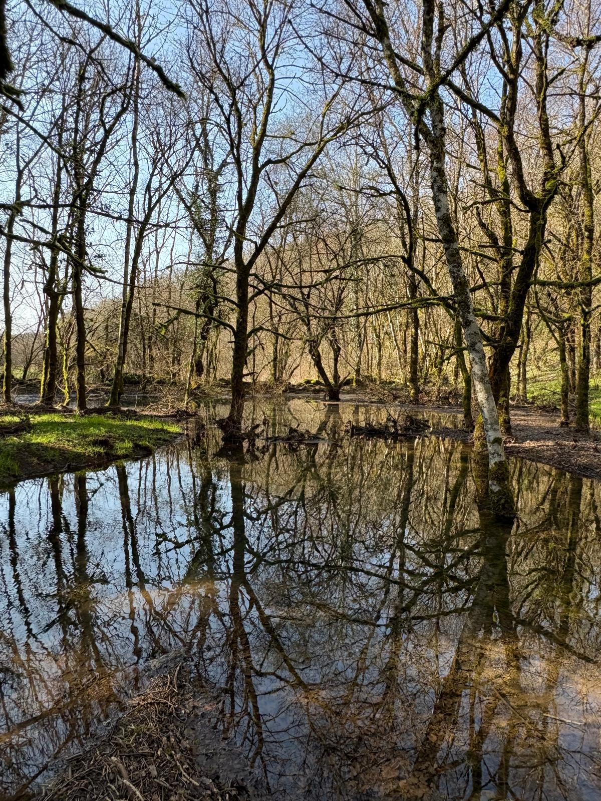 75fc633b b6e6 4308 9a2f 73077a0cc415