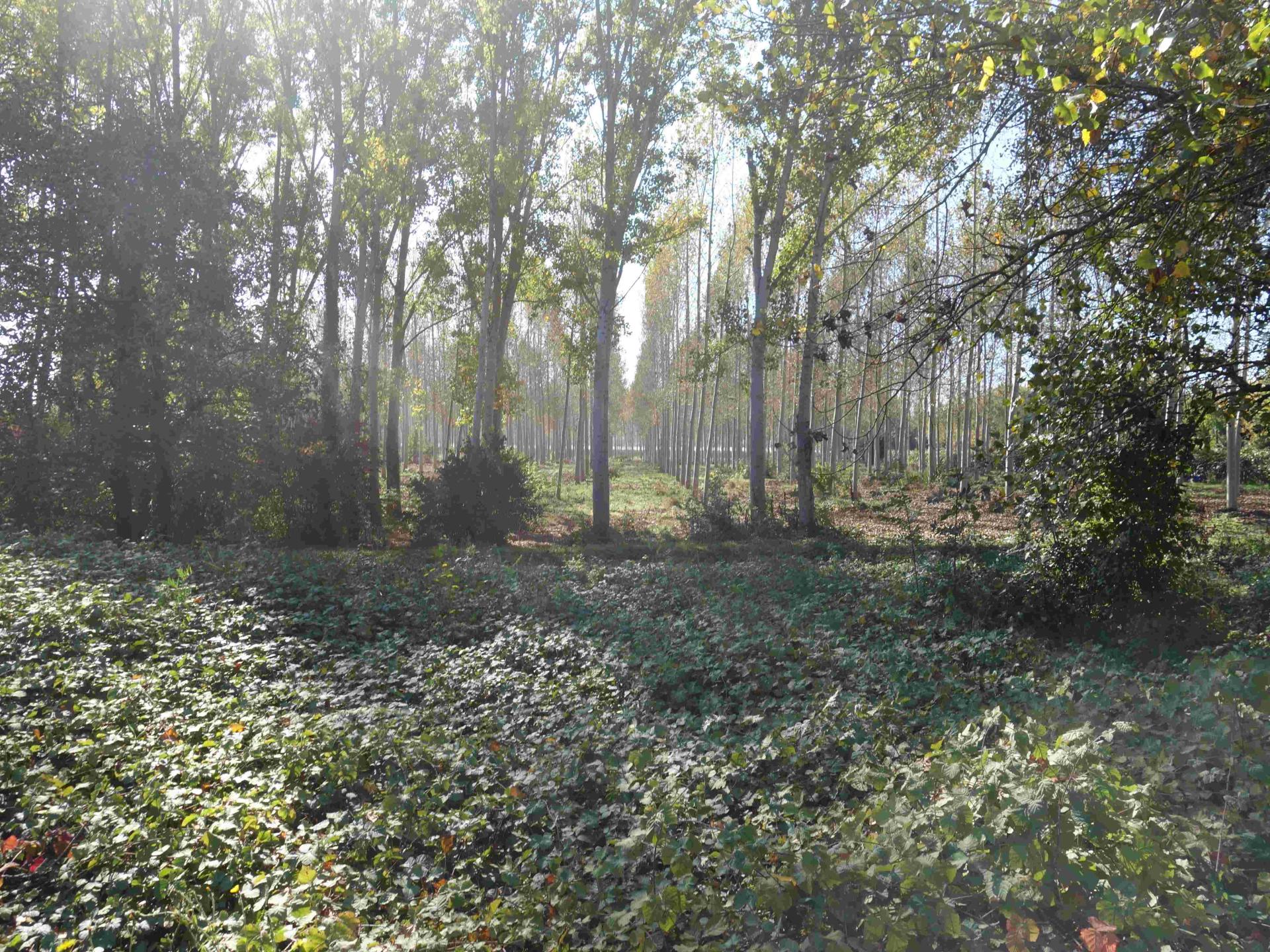 Dsc04475