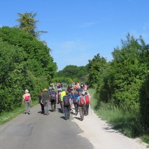 Img 3664