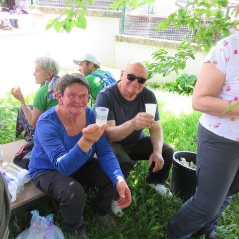Img 3679