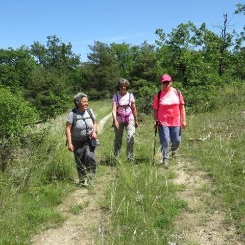 Img 3719