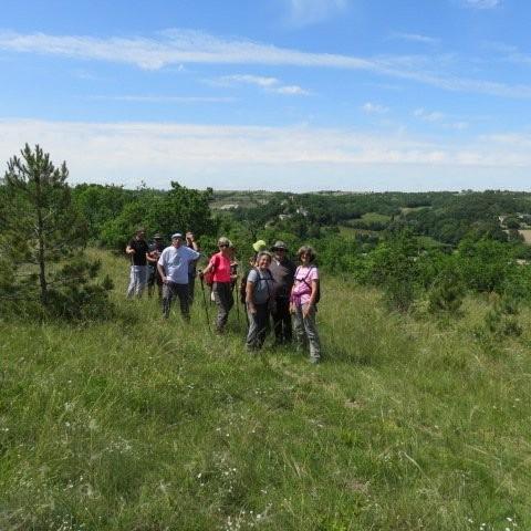 Img 3722