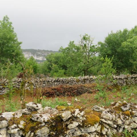 Img 3737