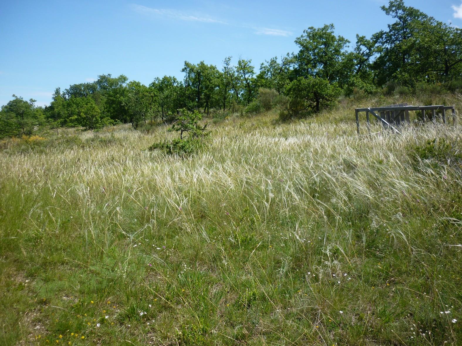 P1100974
