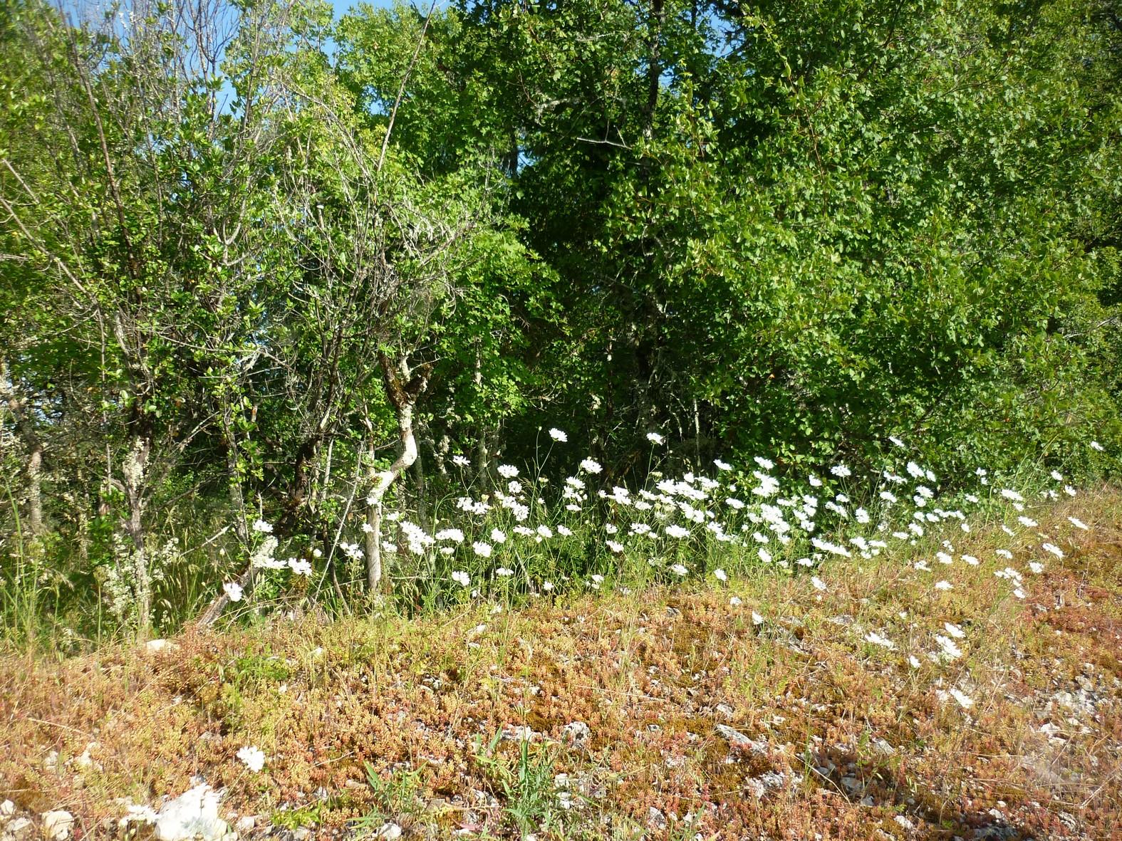 P1100986