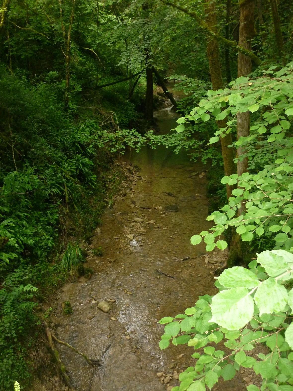 P1110016