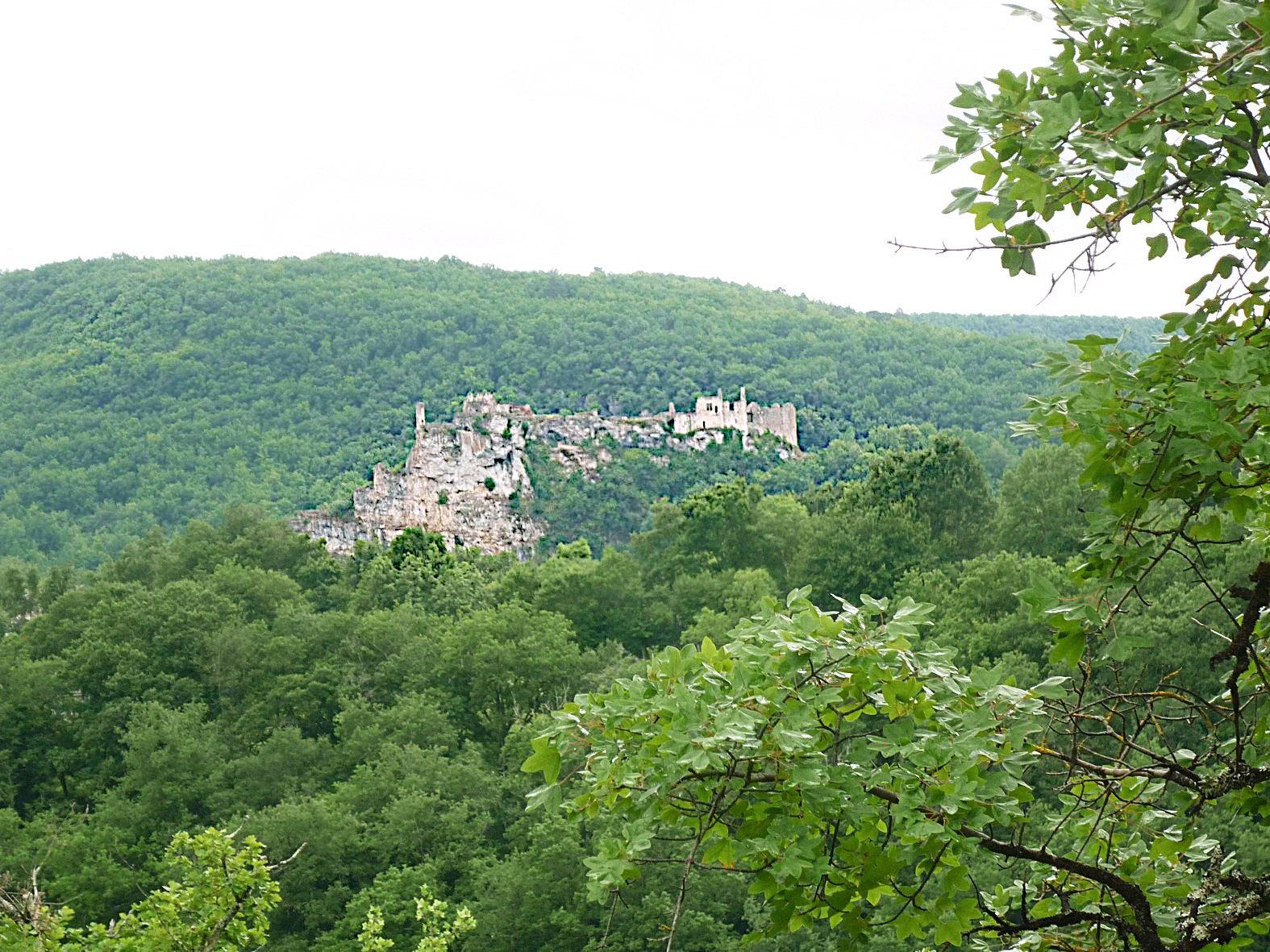 P1110025