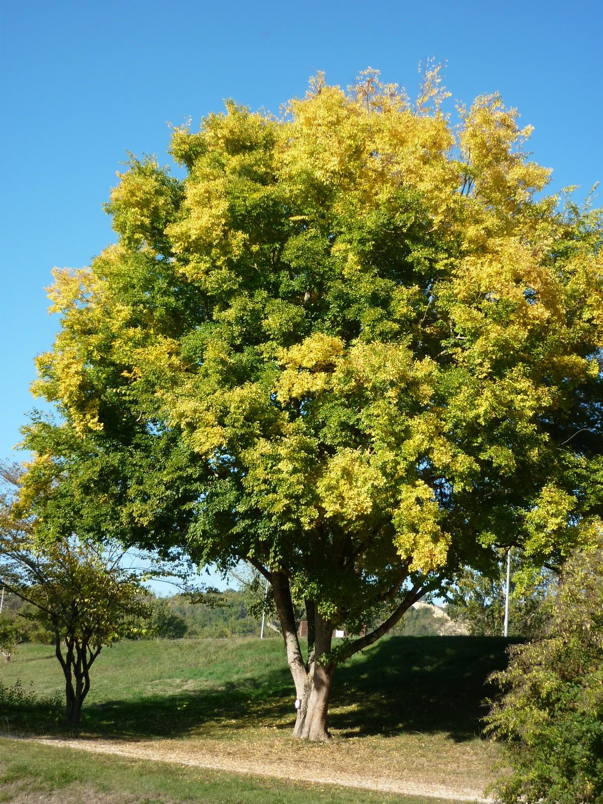 P1110382