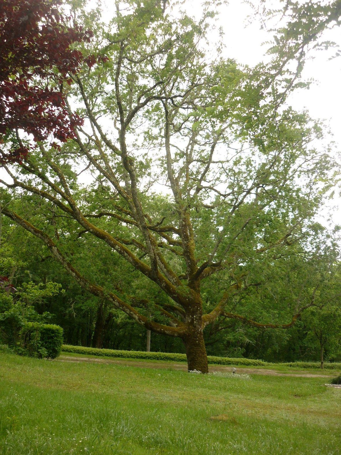 P1110565