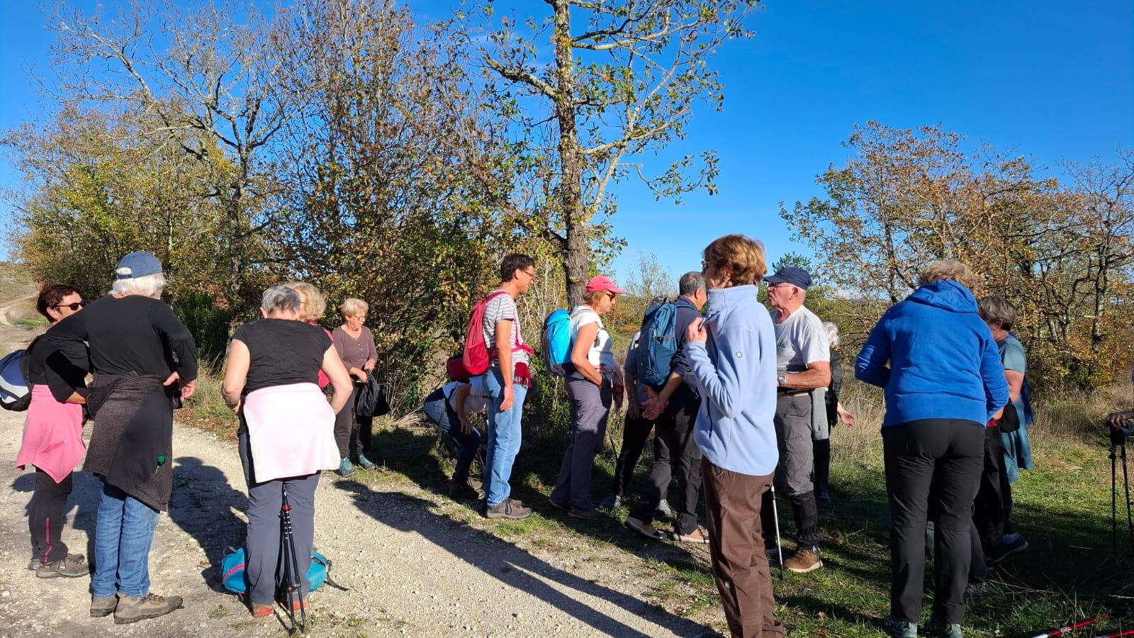 Whatsapp image 2025 11 15 at 17 34 19