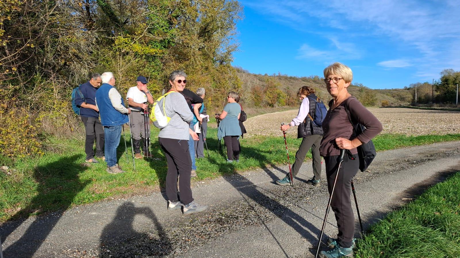 Whatsapp image 2025 11 15 at 17 34 24