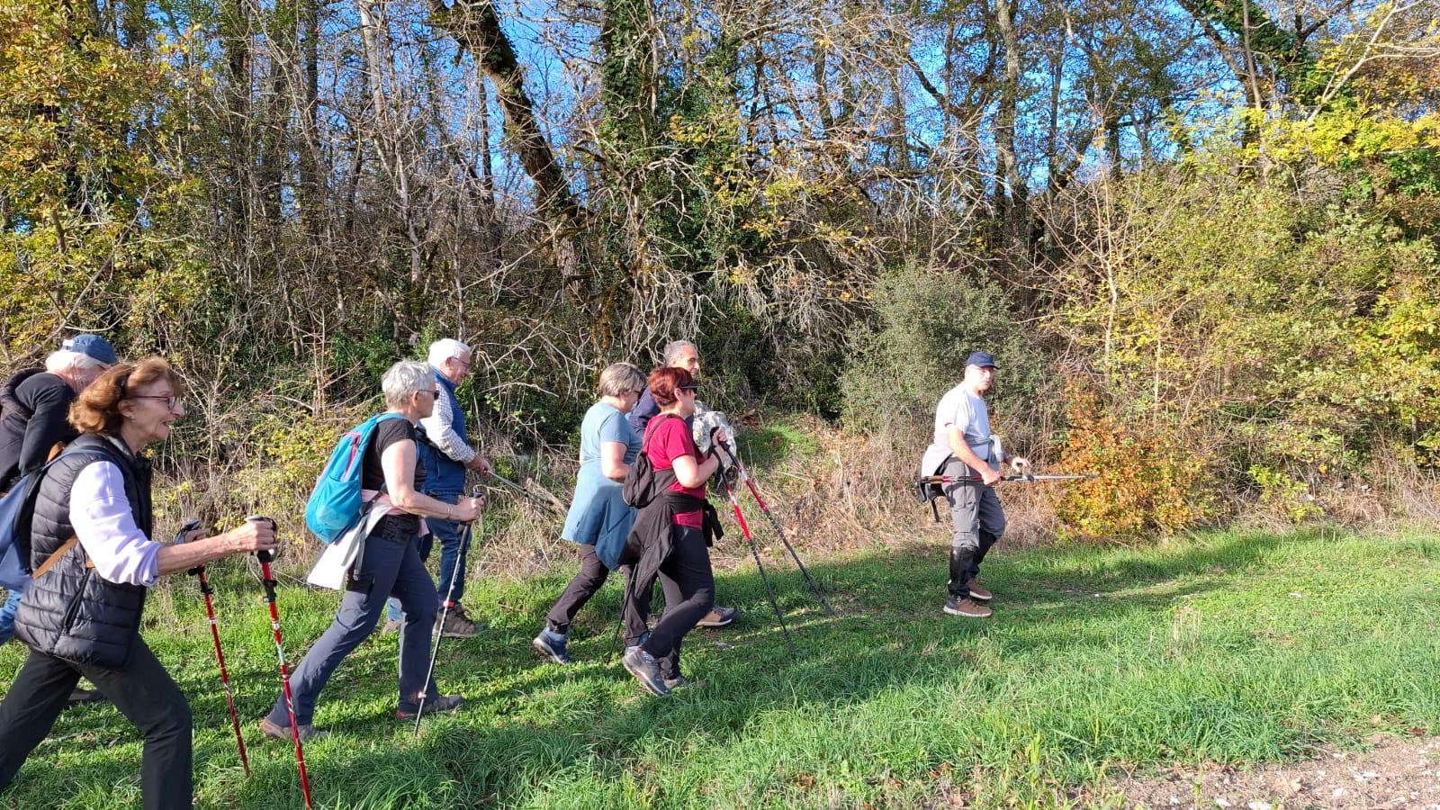 Whatsapp image 2025 11 15 at 17 34 26